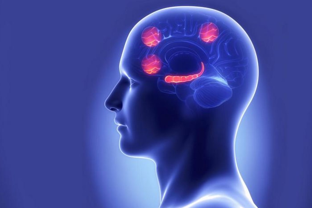 Scientists examine the causes and treatment of addictive behaviour