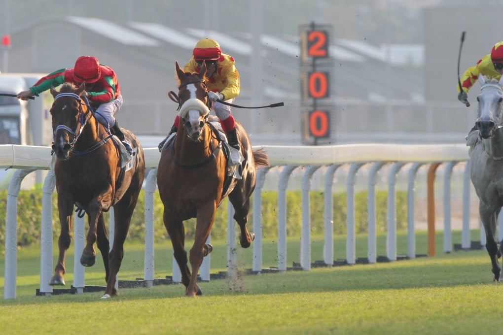 Gold-Fun took advantage of a pull in the weights to win Sunday's Oriental Watch Sha Tin Trophy. Photo: Kenneth Chan.
