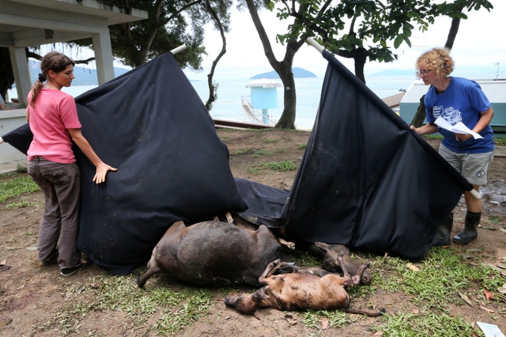 The carnage from the incident in June. Photo: Sam Tsang