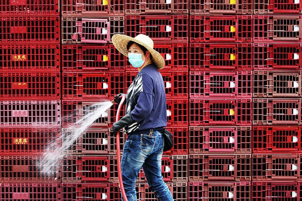 The closure of 780 live poultry markets in Shanghai, Hangzhou, Huzhou and Nanjing in April reduced the daily number of H7N9 infections by more than 97 per cent. Photo: David Wong