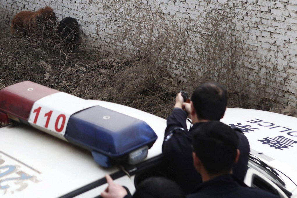 20 police officers in stand-off with Tibetan mastiffs