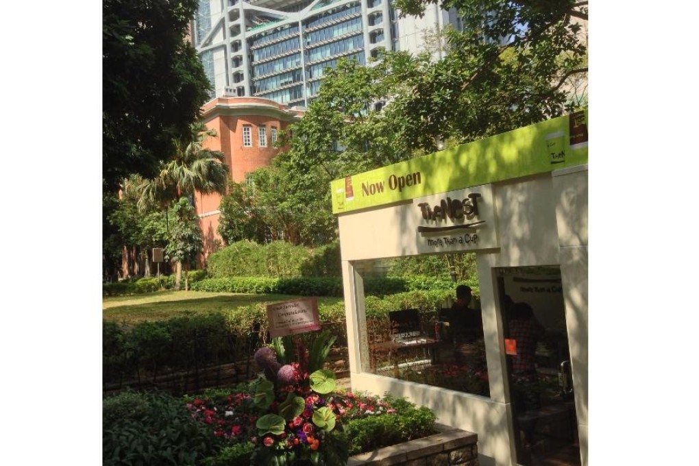 A haven in Central - the Nest Cafe. Photo: SCMP Pictures