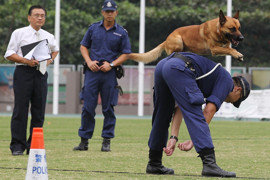 Constable Mui King-wai and his dog Bo show what they can do during the police dog trials yesterday. Photo: K.Y. Cheng