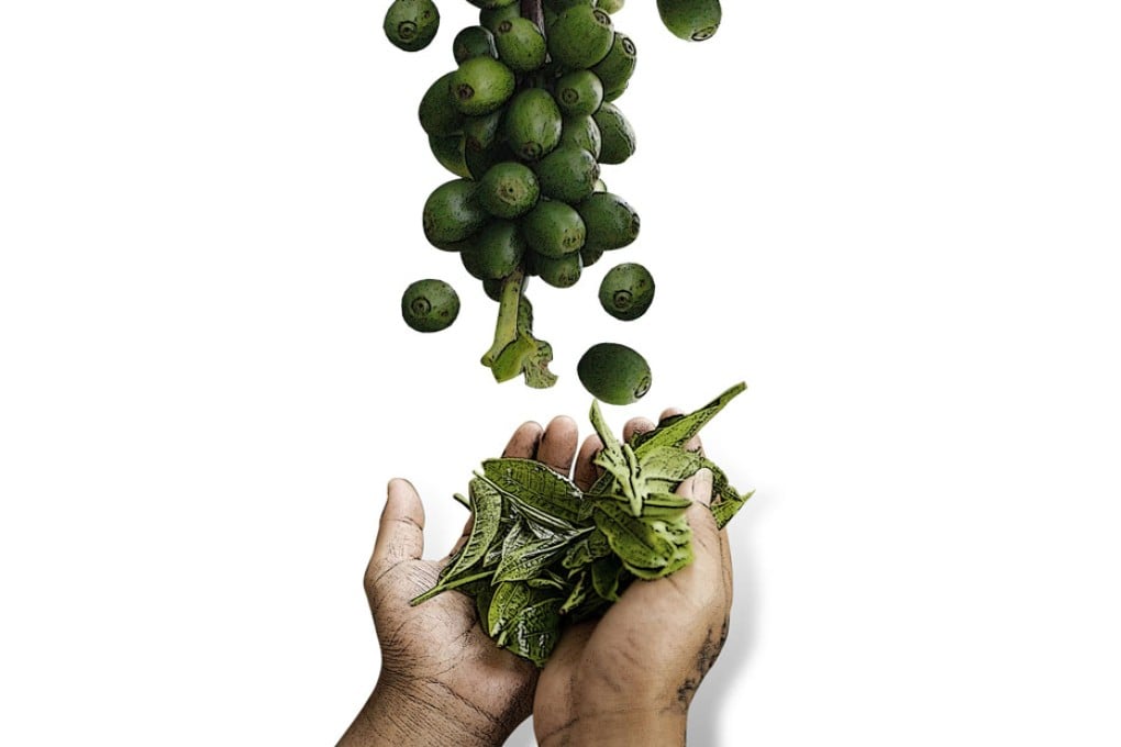 Grounds for optimism