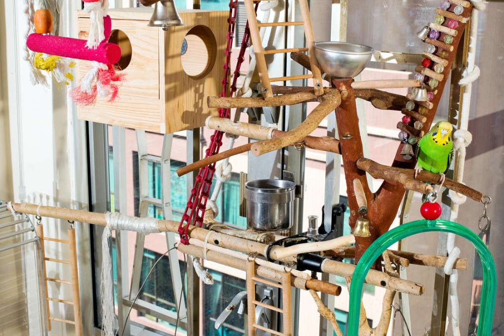 John Butlin's bird stand. Photo: John Butlin