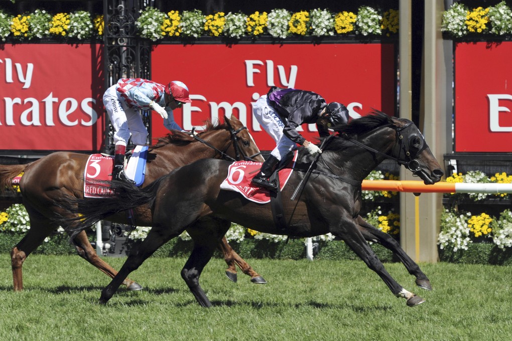 Gerald Mosse's ride on Red Cadeaux in Tuesday's Melbourne Cup was sensational, but Fiorente (Damien Oliver, outside) proved too strong late. Photo: AP.