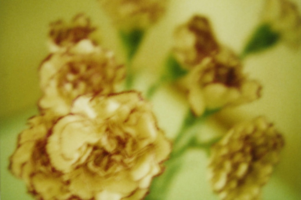 Above and below: the desire to emphasise a feeling of loss inspires Clarke's soft-focus images.