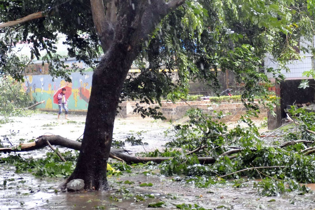 Tree branches are brought down by strong wind as Typhoon Haiyan approaches Qionghai City, south China's Hainan Province. Photo: Xinhua
