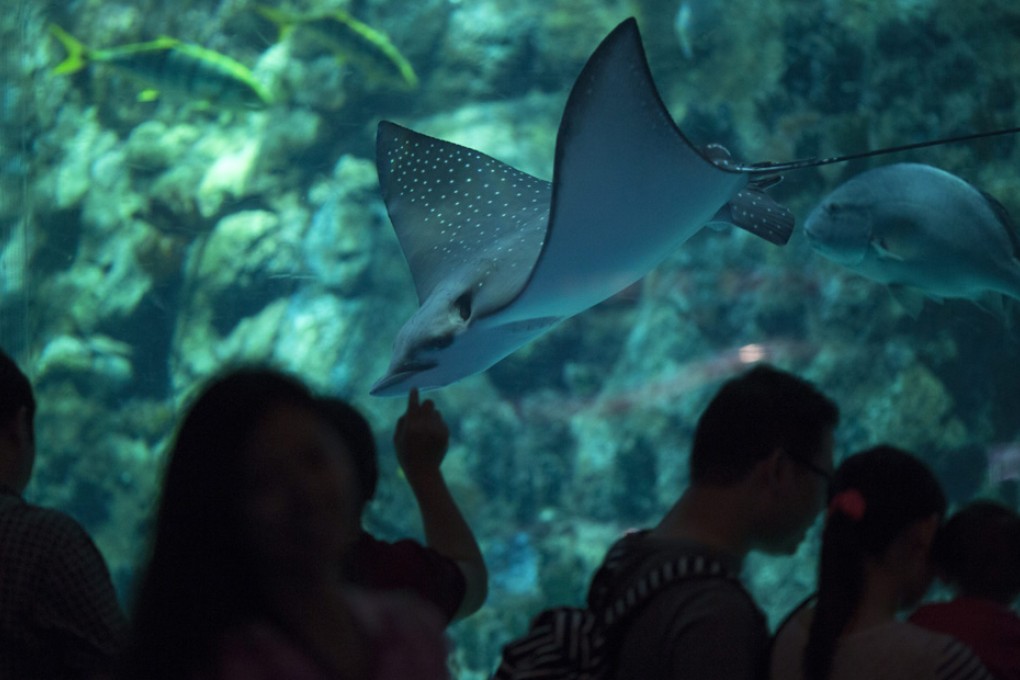 Grand Aquarium in Ocean Park. Photo: EPA