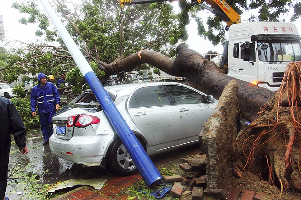 Workers remove a tree that fell on a car in the aftermath of Typhoon Haiyan after it made landfall in Sanya in south China's Hainan province on Sunday. Photo: AP