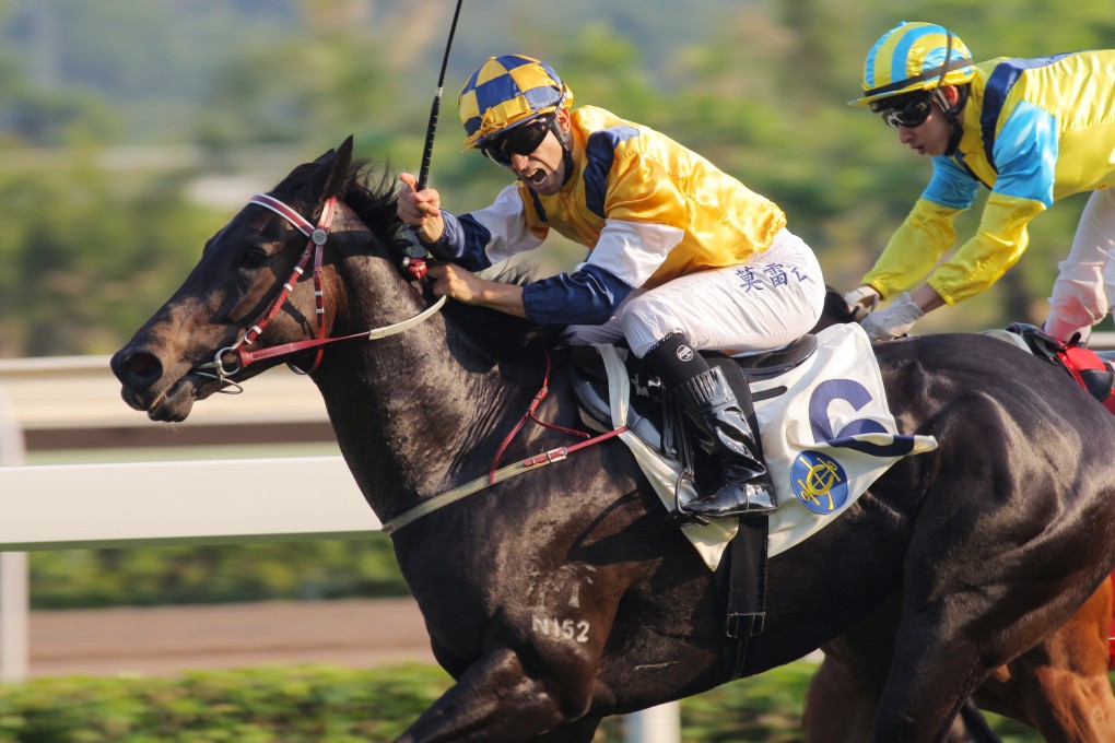 Joao Moreira has made the right decision to stick with Sterling City ahead of Amber Sky in Sunday's Jockey Club Sprint. Photo: Kenneth Chan.