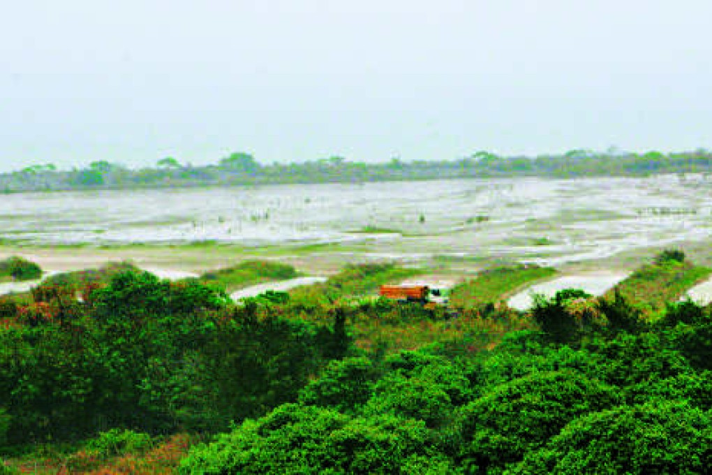 Incinerator site in Tsang Tsui, Tuen Mun. Photo: Edward Wong