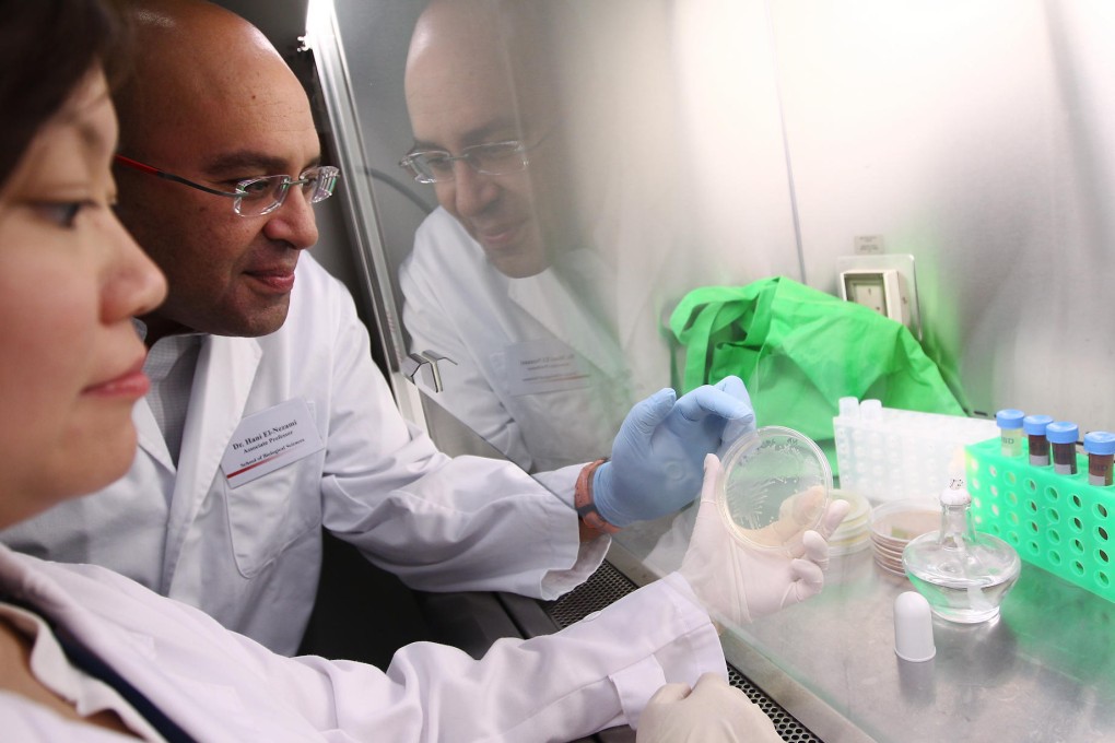 Student Murphy Wan Lam-yin and Dr Hani El-Nezami get to work testing a canvas bag in the HKU laboratory. Photo: Jonathan Wong