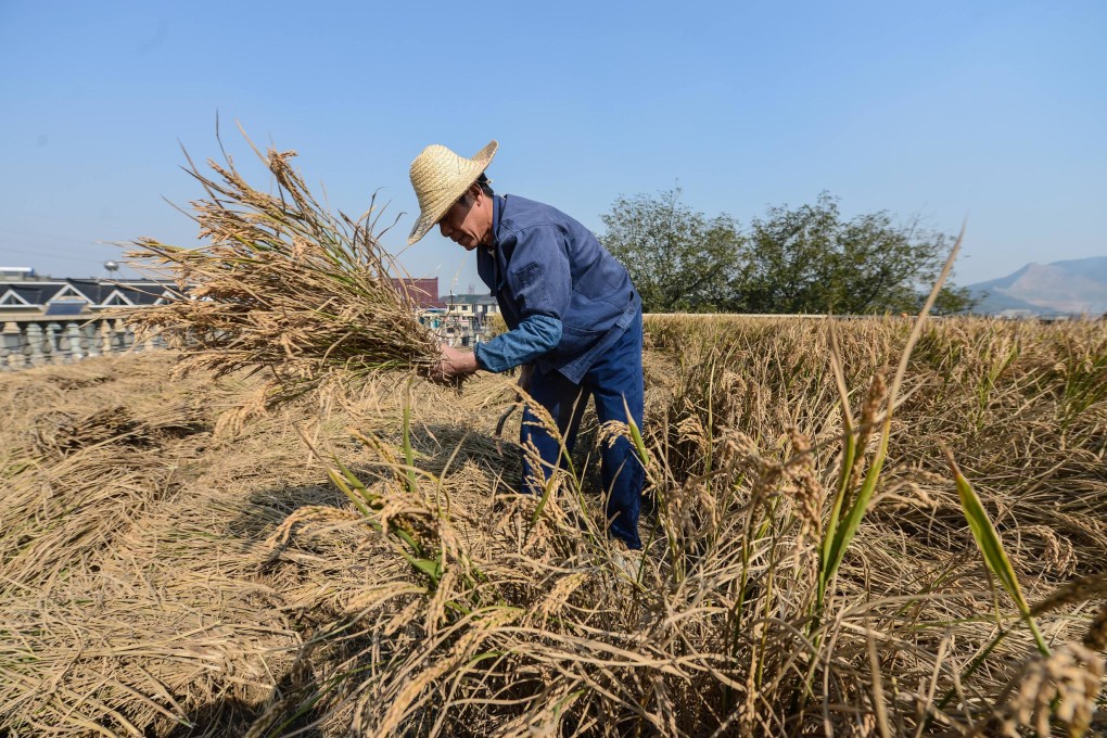 The proposed changes would also amend the calculation of farmers’ income. Photo: Xinhua