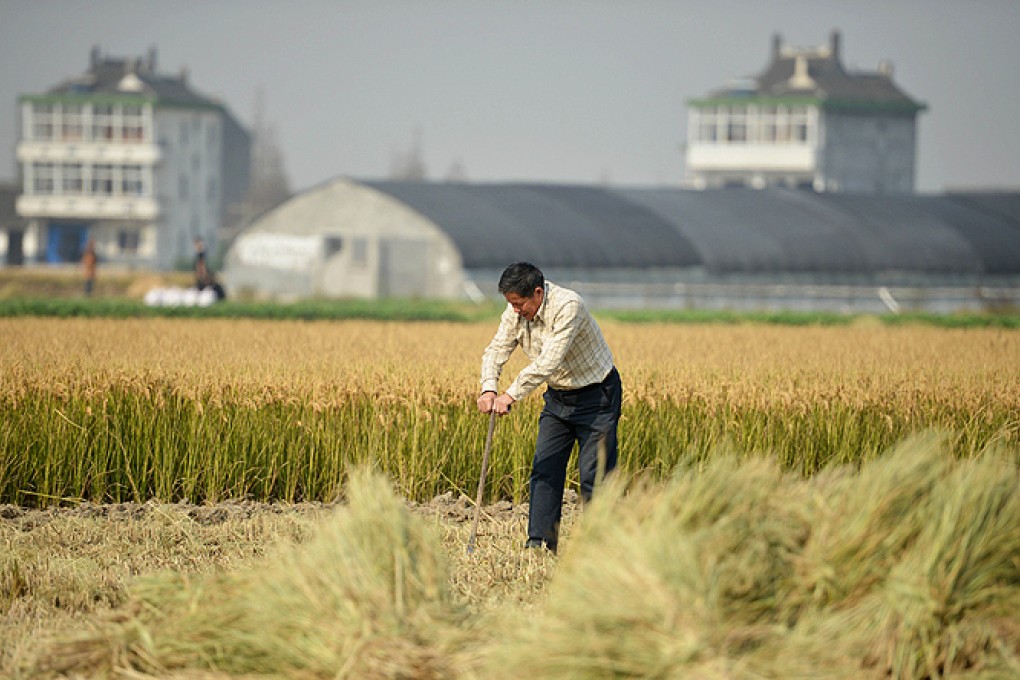 Farmers are to be granted legal basis to transfer and rent land, which is ultimately owned by the state. Rural residents will be able to buy and sell so-called 'land use rights', giving farmers the same rights as urban dwellers. Photo: AFP