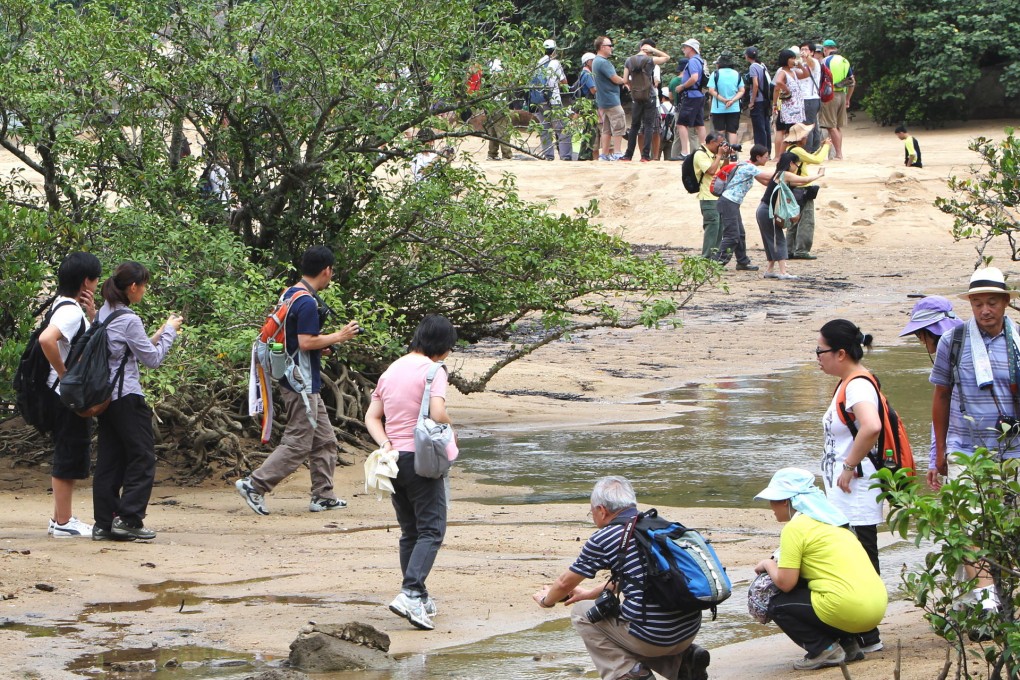 Activists warn the sites may be stripped of vegetation.