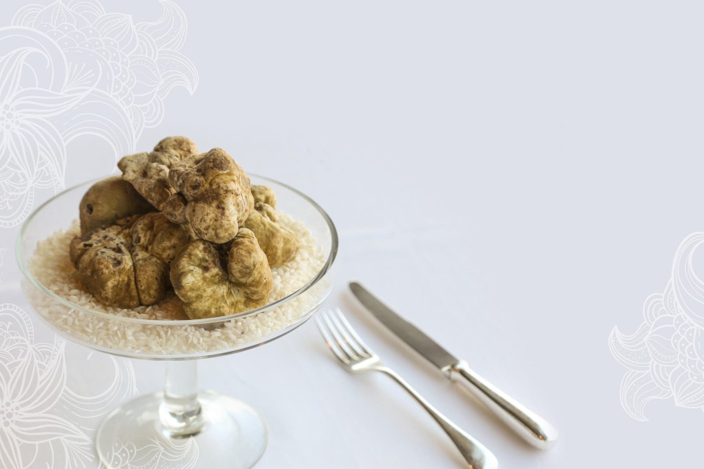 Piedmont white truffles are one of the world's most prized ingredients. Photos: Dickson Lee, Paul Yeung, K.Y. Cheng