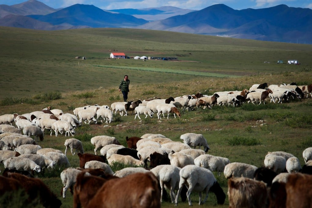 Sparsely populated Mongolia, known for its minerals, has more than one million square kilometres of available agricultural land. Photo: AFP