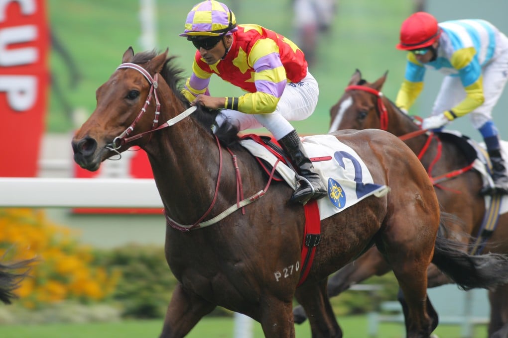 IN THE RED CORNER: Designs on Rome, an impressive winner of the Chevalier Cup (1,600m) at Sha Tin. Photo: Kenneth Chan.