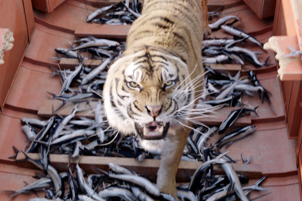 Richard Parker, the tiger in Life of Pi. Photo: 20th Century Fox
