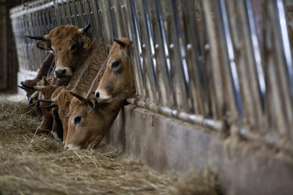 China taps Romania to meet rising meat demand.