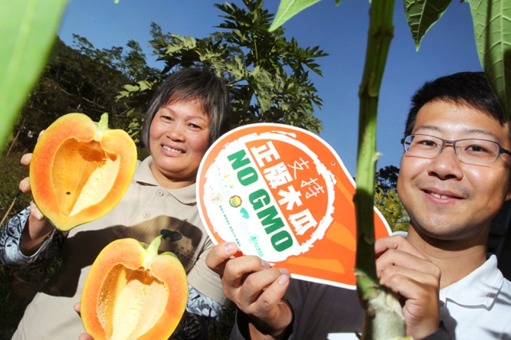 Lam Sui-yuen (left), a grower, and Clarence Tsang Sheung-yin of Kadoorie Farm & Botanic Garden with the GM-free fruit. Photo: K.Y. Cheng