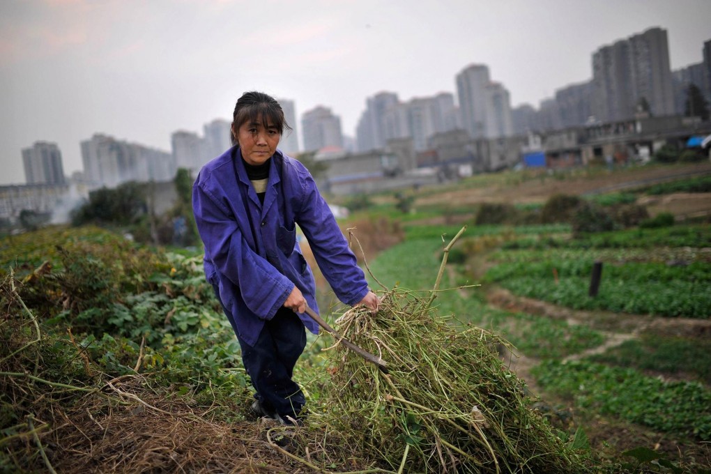 A farmer removes old broad bean plants to prepare for the next planting last month in Hefei , Anhui province. Photo: Reuters