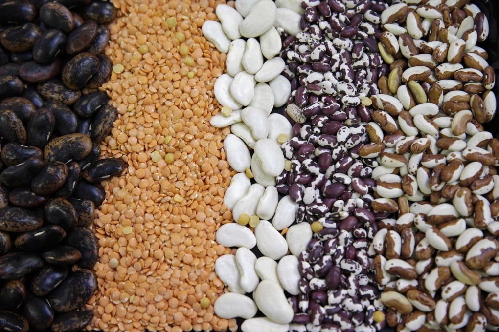 Some of the 1,500 plant seeds tested in the search for a plant-based substitute for eggs at Hampton Creek Foods in San Francisco. Photo: AP