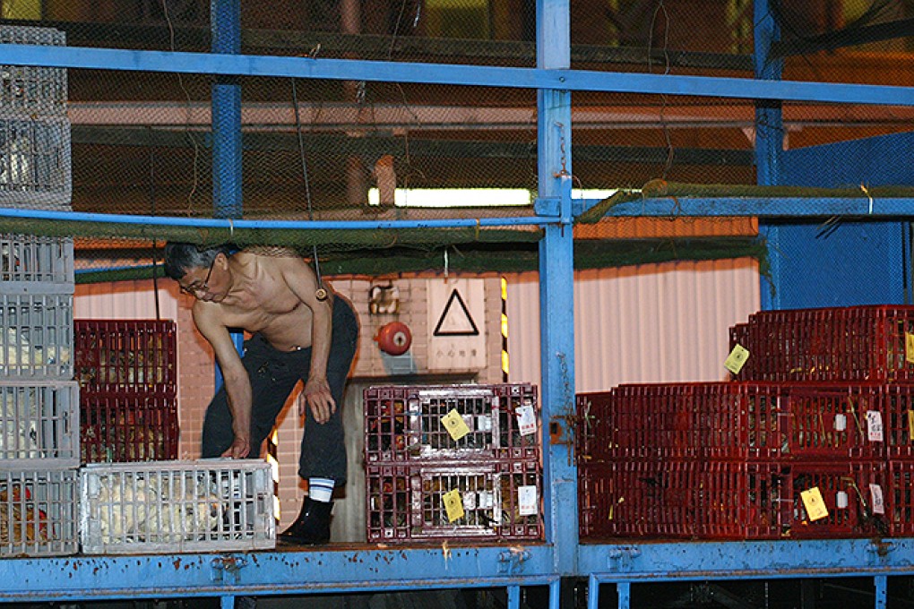 Hong Kong has banned poultry imports from Shenzhen in the wake of the H7N9 bird flu scare. Photo: Dustin Shum