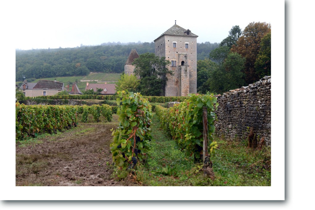 Chateau de Gevrey-Chambertin. Photo: AFP
