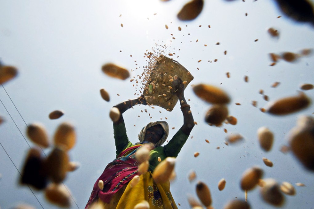 Environmentalists fear that any such move would result in the worldwide adoption of the controversial technology. Photo: Reuters