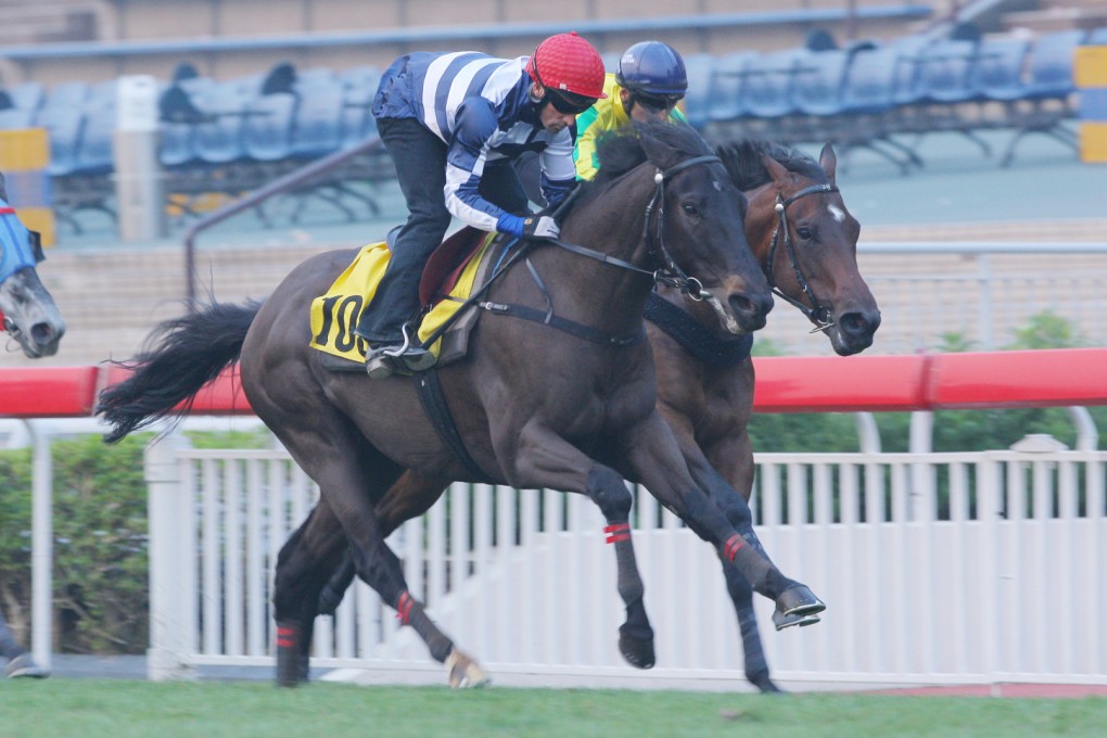 No Happy, Lucky, Dragon or Win here as Packing Llaregyb (red cap, Neil Callan) goes down to win a barrier trial last week. Photo: Kenneth Chan