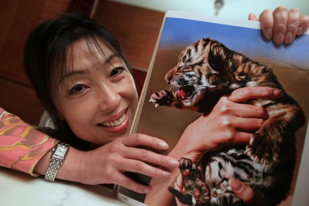 Li Quan, the founder of Save China's Tigers charity, showing a picture of a tiger cub when in Hong Kong two years ago. Photo: Jonathan Wong