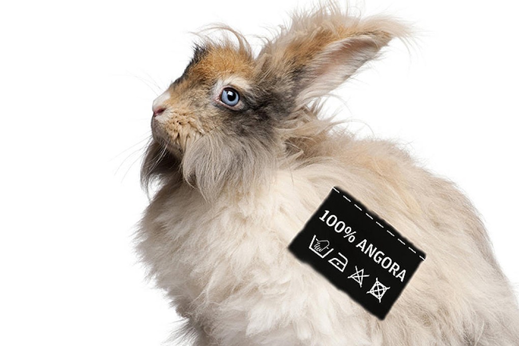 Video of Chinese farmers ripping fur off live rabbits damages angora trade