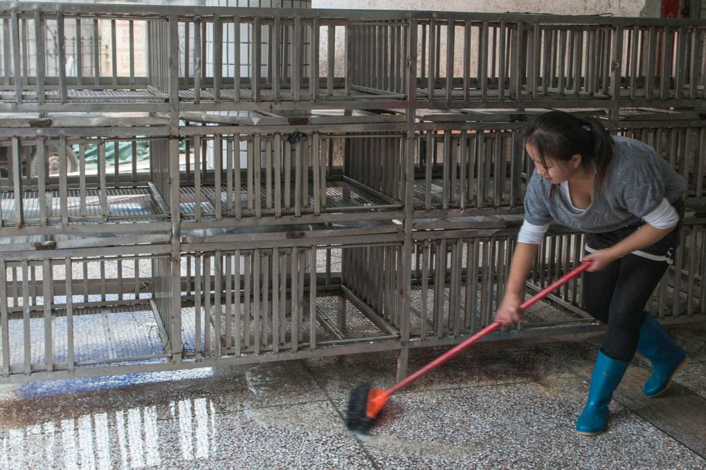 A worker cleans a poultry market in Guangdong after traces of bird flu virus were found. Photo: Xinhua