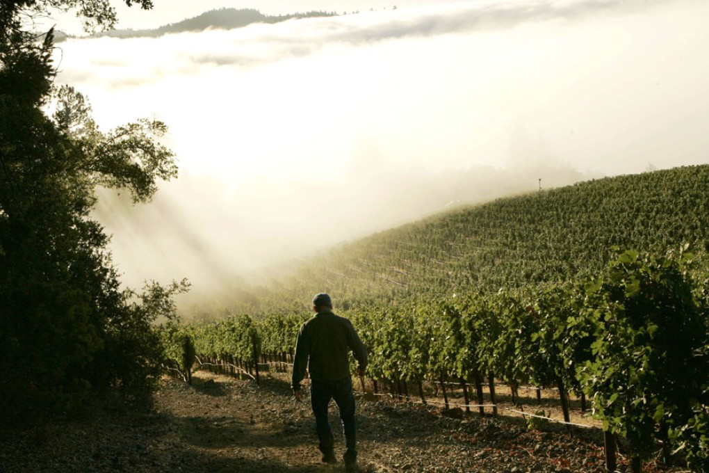 More Chinese cash flowing into French vineyards