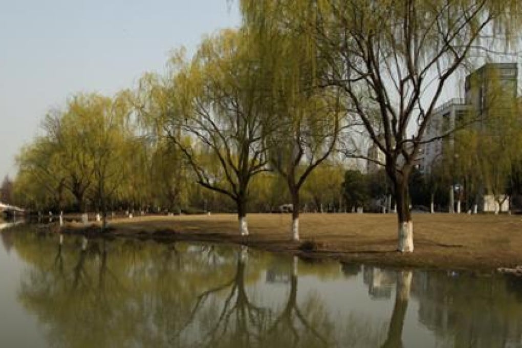 The Zhejiang University campus, in an official photo from the school's website. Photo: SCMP