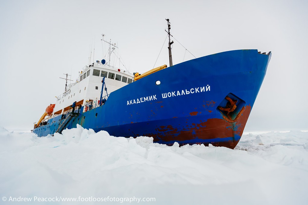 The MV Akademik Shokalskiy, a Russian scientific research vessel, awaits rescue while trapped in the ice off Antarctica. Photo: AFP