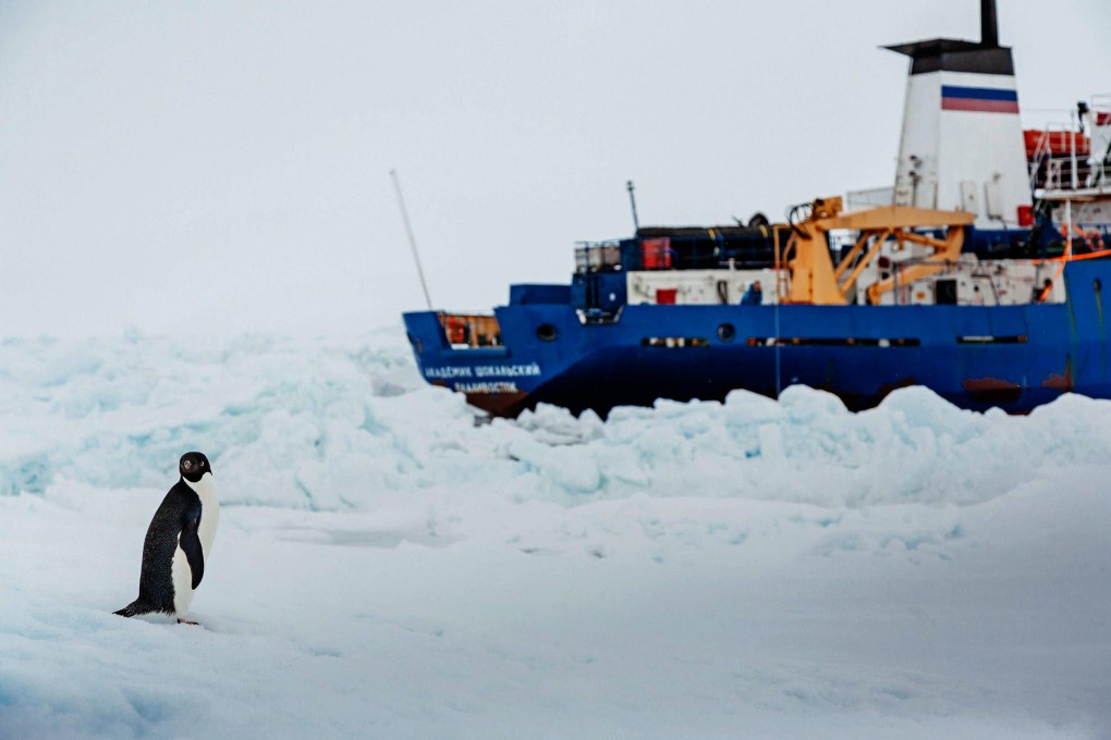 There will be further delays in evacuating passengers from the Akademik Shokalskiy. Photo: AFP