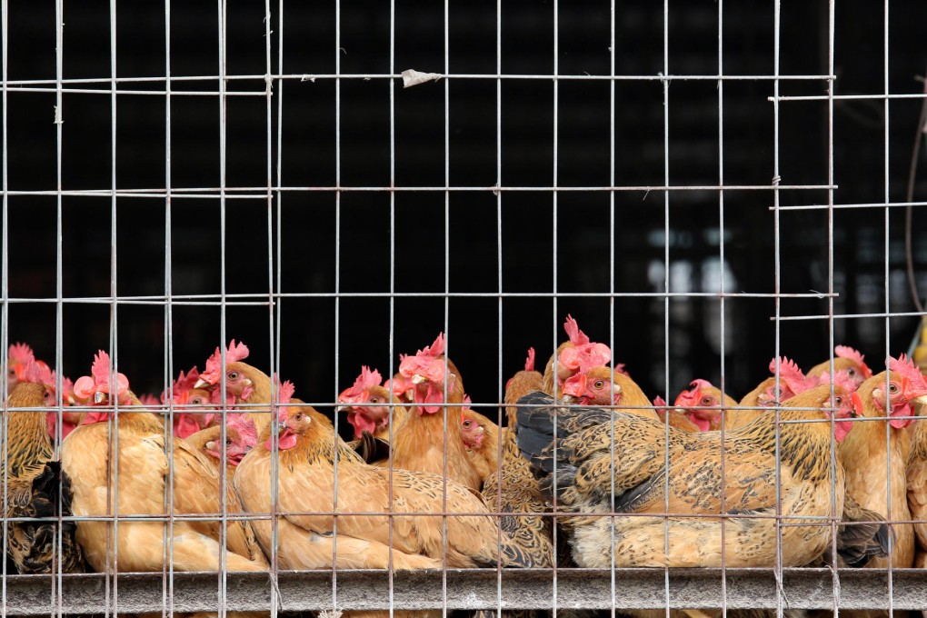 Trade is normal in some Shenzhen markets. Photo: David Wong