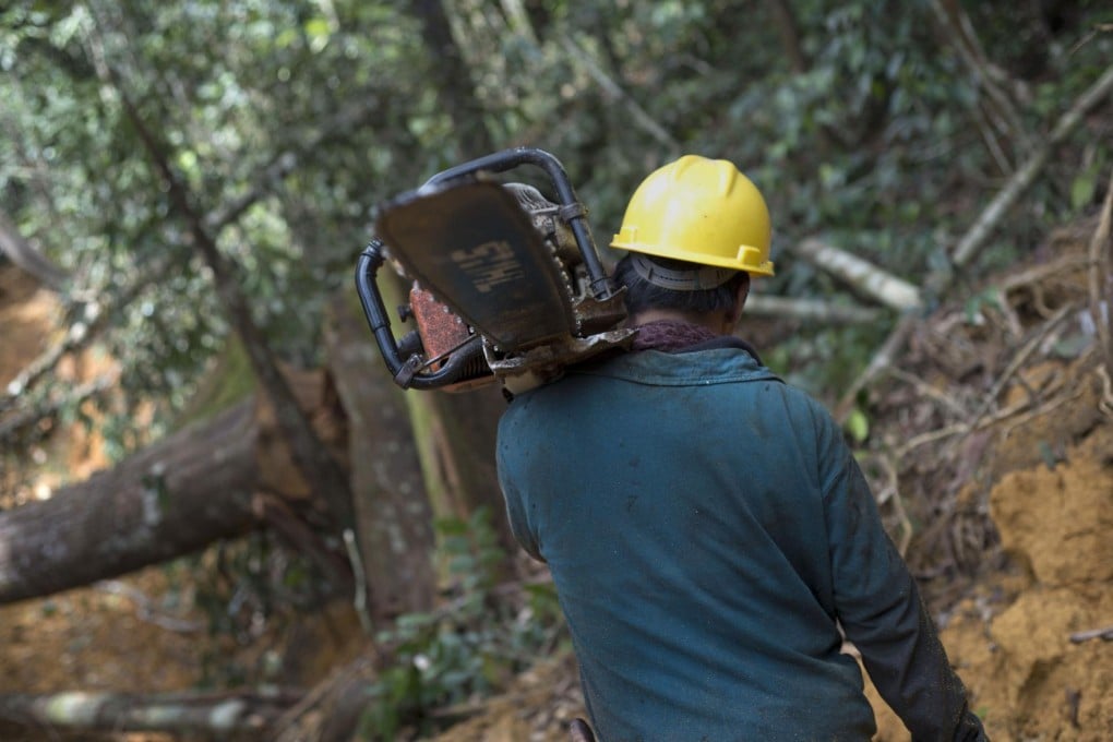 Indonesia is losing its forests to plantations. Photo: AFP