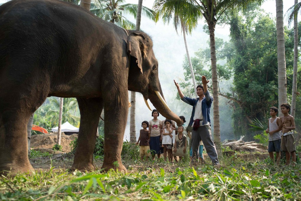 Kham (Tony Jaa) talking to his beloved elephant Khon.