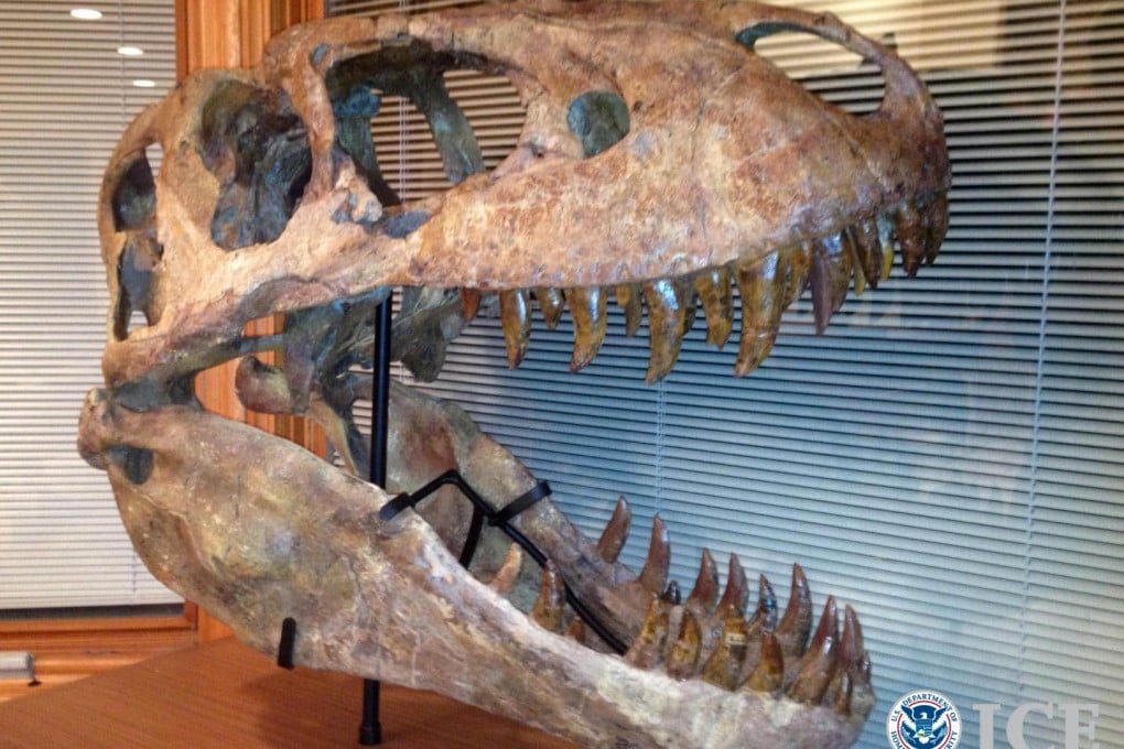 This Tyrannosaurus bataar skull was seized in the US. Photo: AP