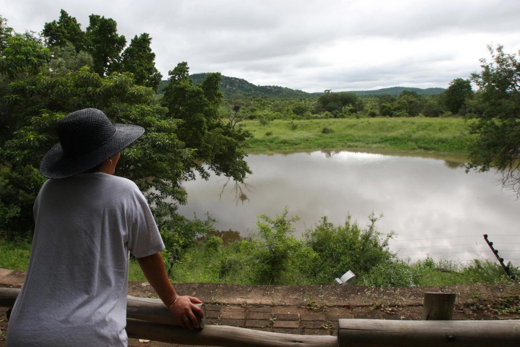 A tourist waits at a waterhole to see game at Kruger Park.