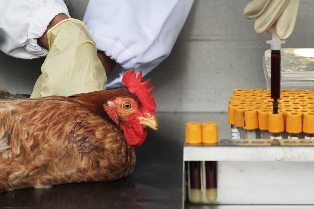 Ethnicity could vary immunity