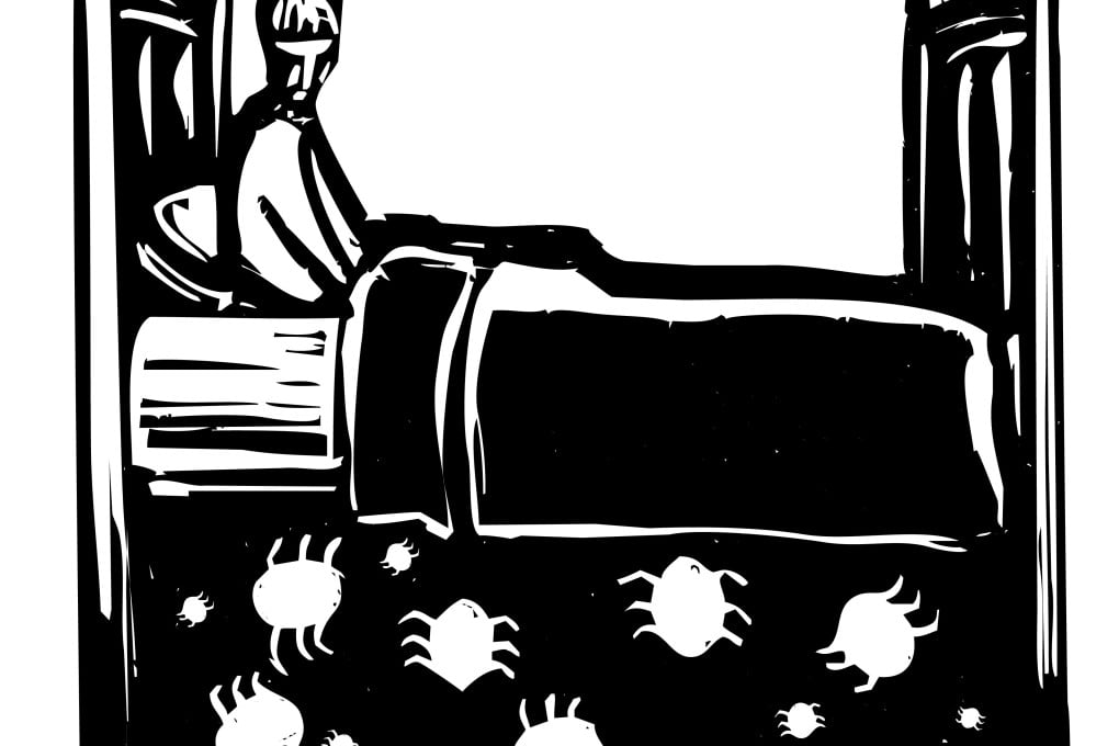 Bed bug infestations are on the rise - and the pests are hard to kill