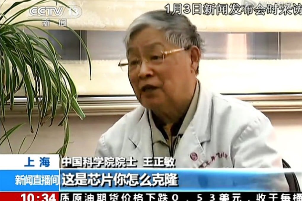 A screenshot of Professor Wang Zhengmin  of Fudan University from a CCTV programme. Photo: SCMP Pictures