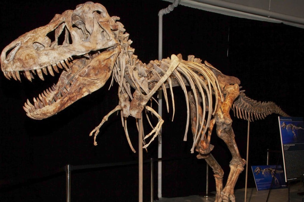New insights into prehistoric fossils may one day help determine what the great dinosaurs looked like in real life.