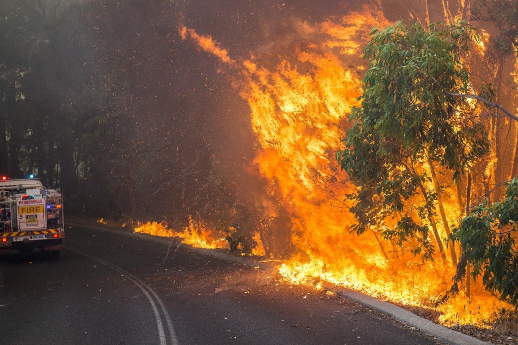 Trees burn in Perth Hills, Western Australia. Around 275 firefighters were battling the flames. Photo: AP