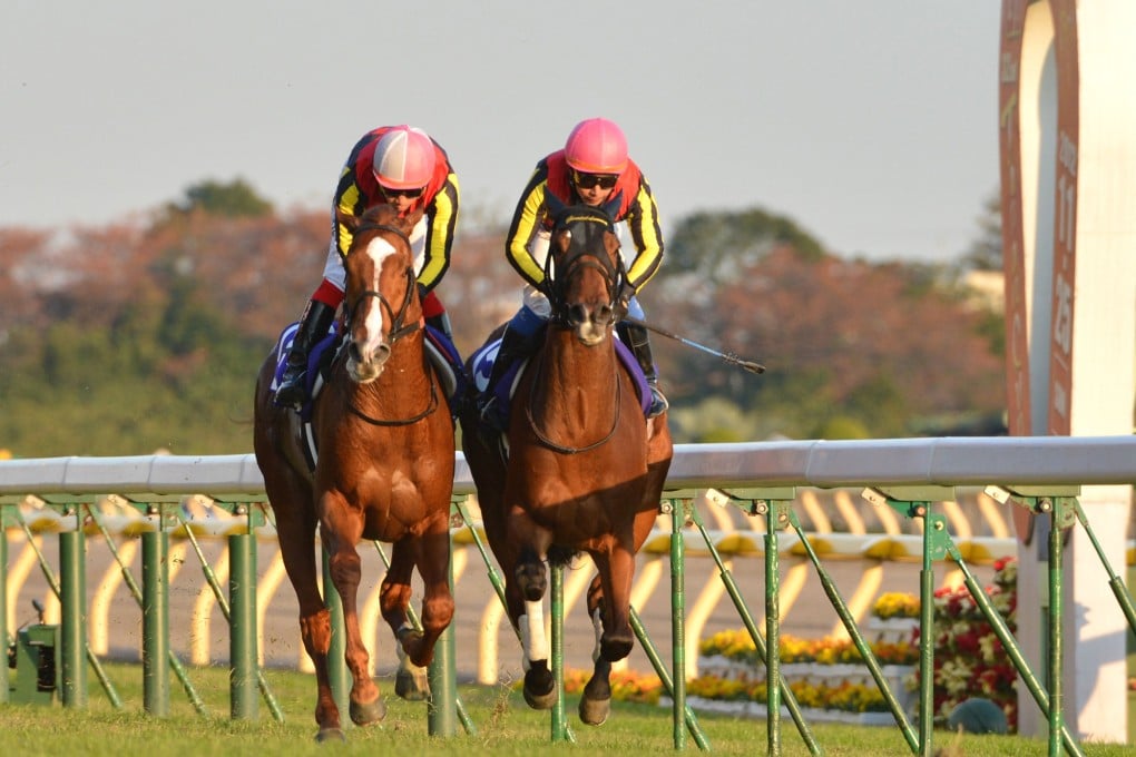 Orfevre (left) and Gentildonna fight out the finish to the 2012 Japan Cup. Photo: AFP